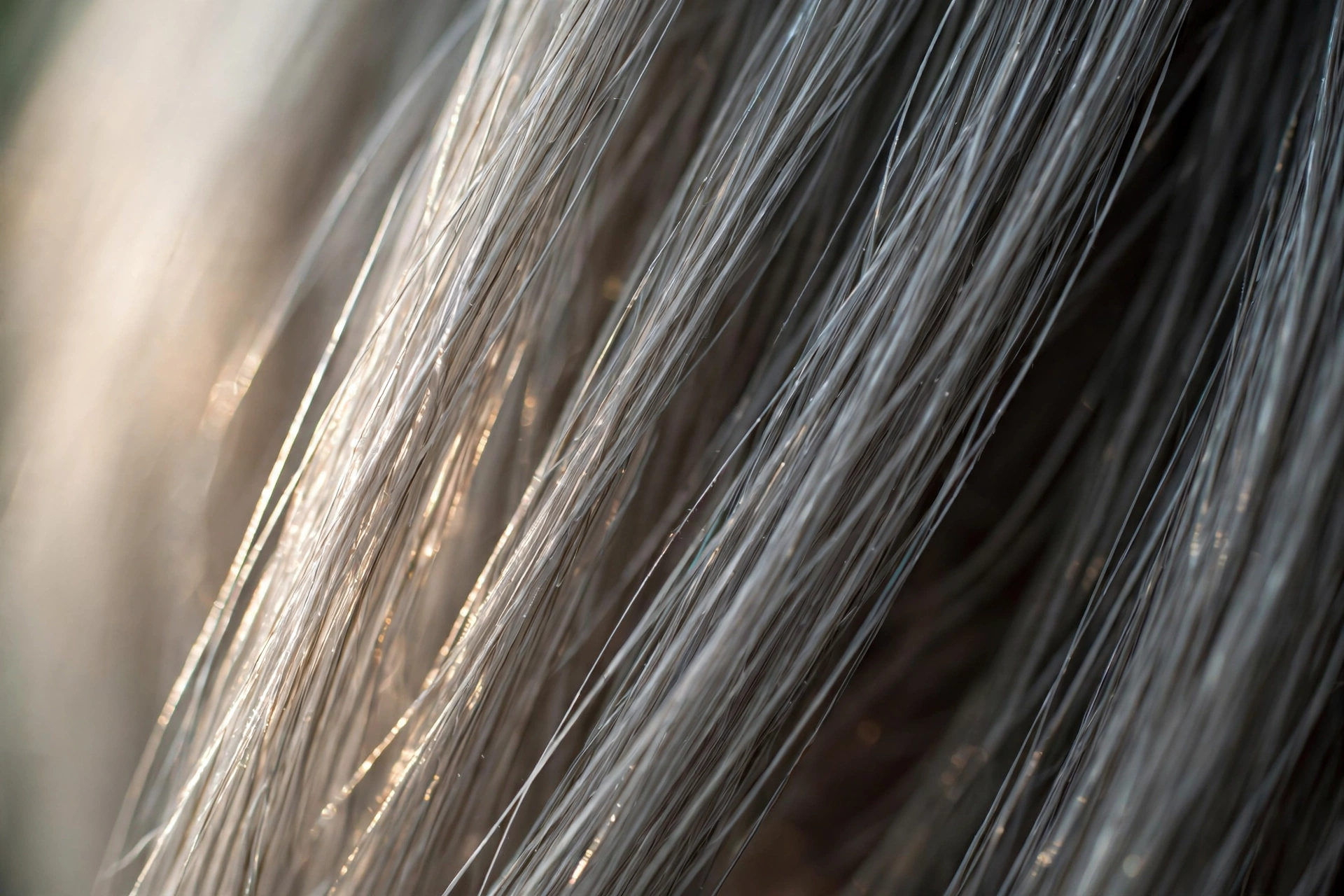 Macro close-up of healthy silver-grey hair with natural shine